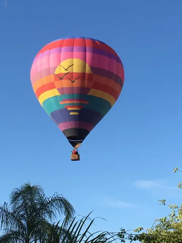 an aerial view of a swimming pool
