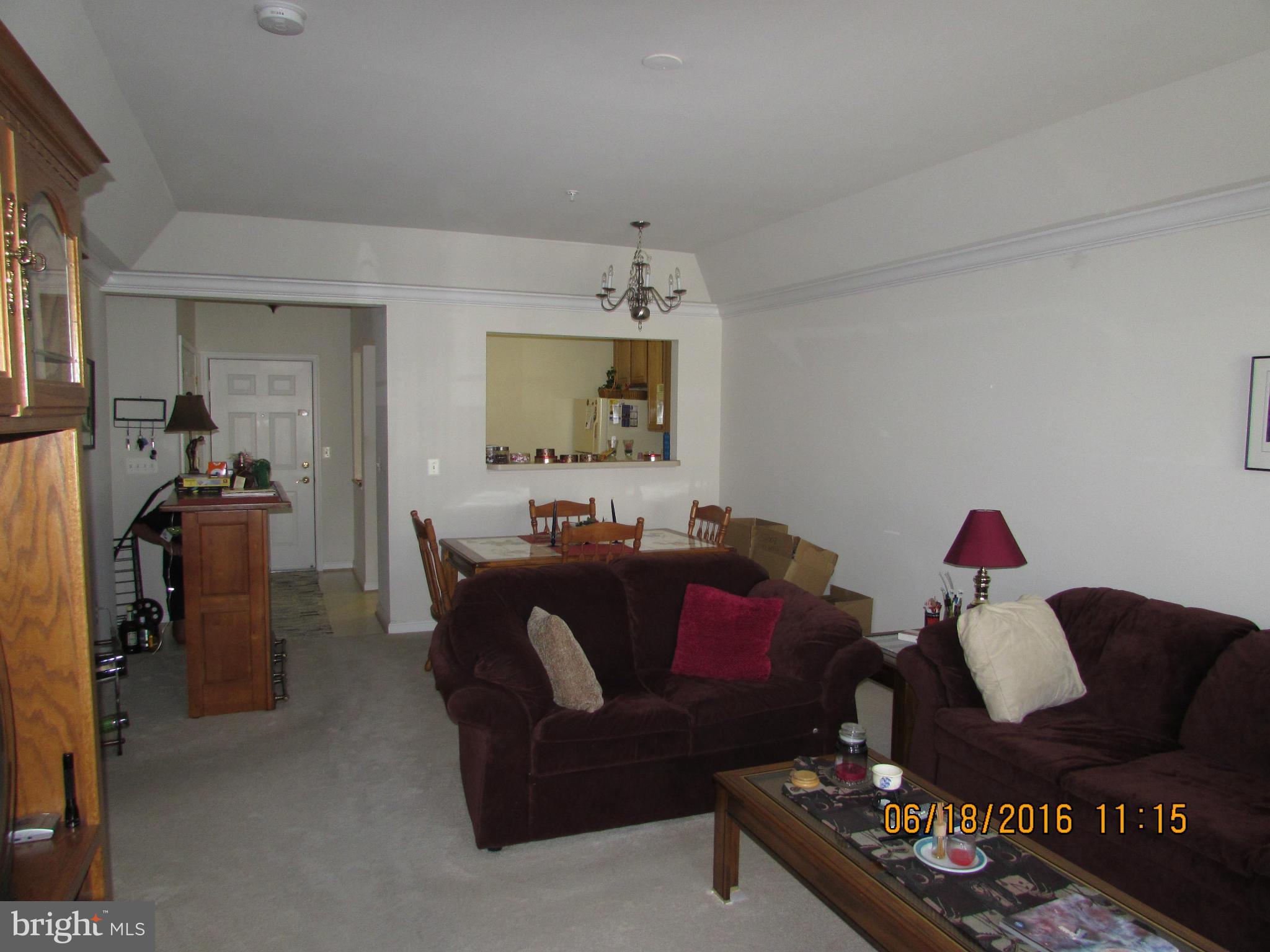 8601 Roaming Ridge Way, Unit 208 Odenton, MD 21113 - Photo 5 of 21 Living Room