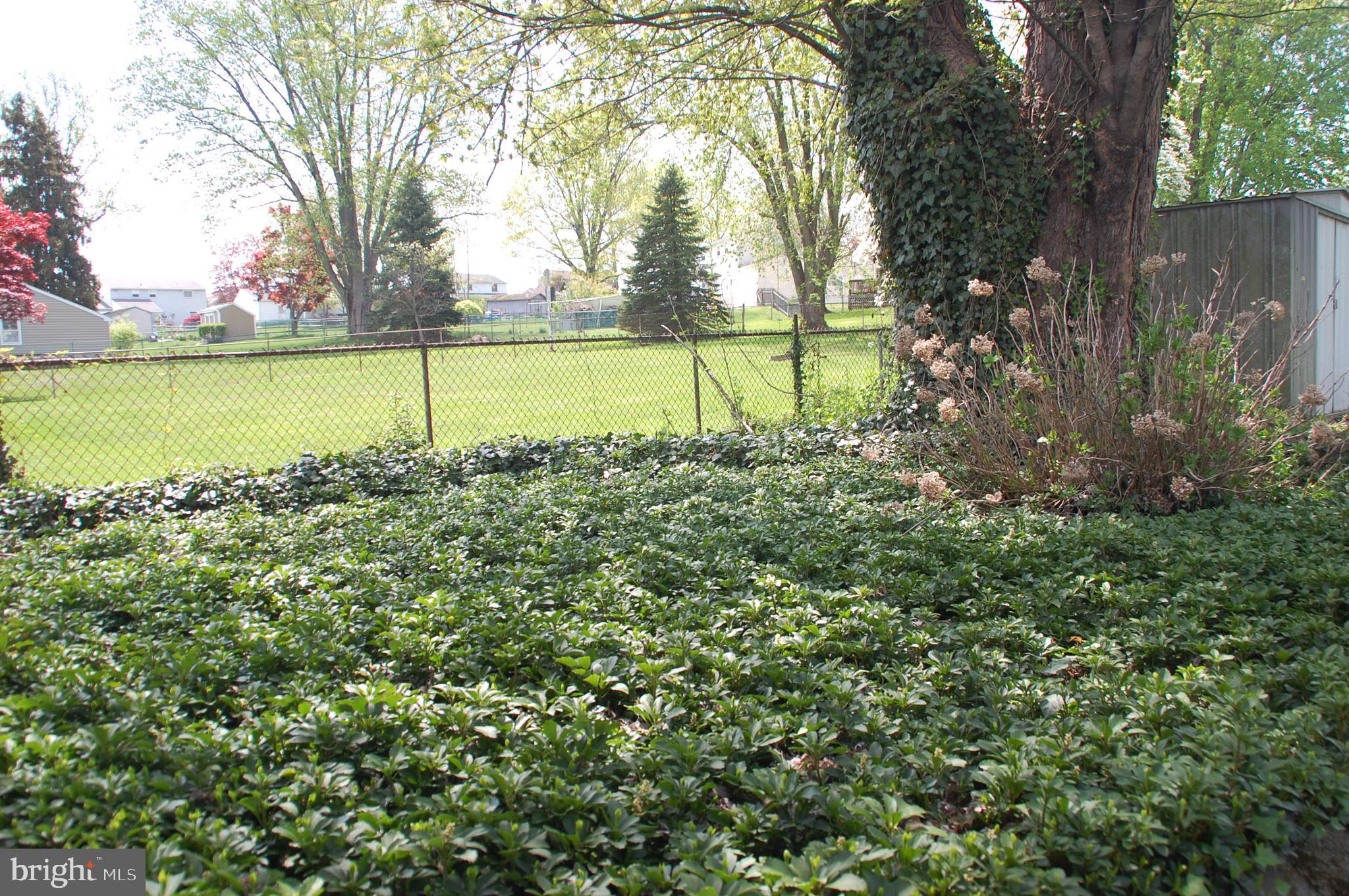 1366 Nevarc Road Warminster, PA 18974 - Photo 33 of 39 Pachysandra bed