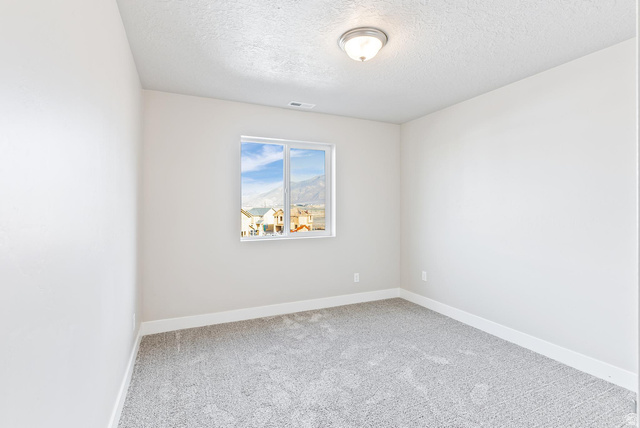 257 North Slant Road, Unit 51M Mapleton, UT 84660 - Photo 20 of 24 Empty room with light carpet and a textured ceiling