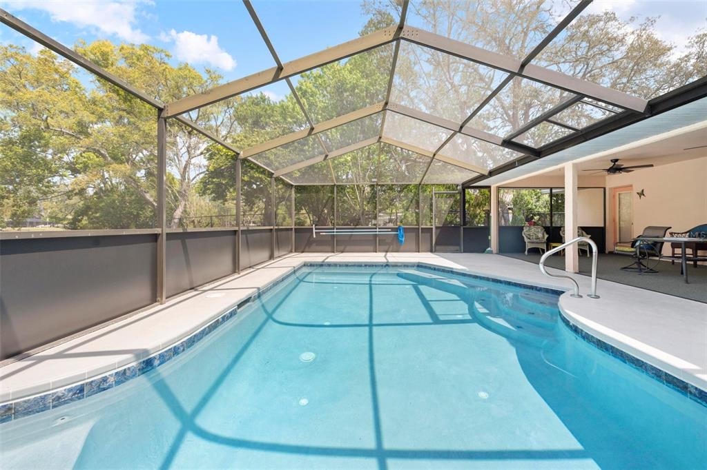 9111 Blaine Road Spring Hill, FL 34608 - Photo 29 of 56