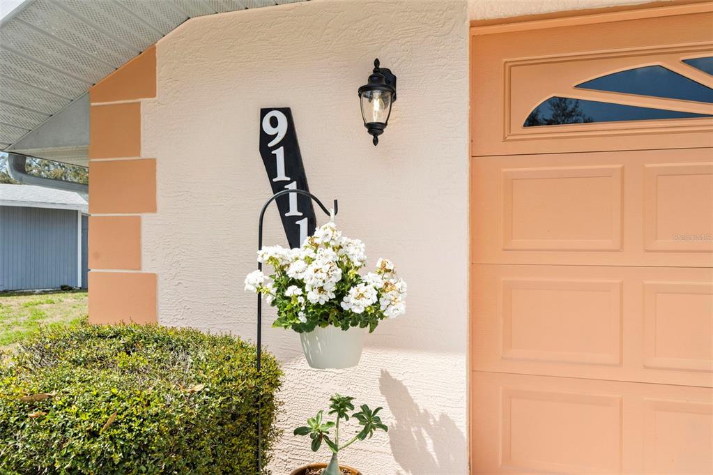 9111 Blaine Road Spring Hill, FL 34608 - Photo 3 of 56