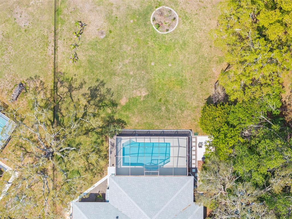 9111 Blaine Road Spring Hill, FL 34608 - Photo 46 of 56