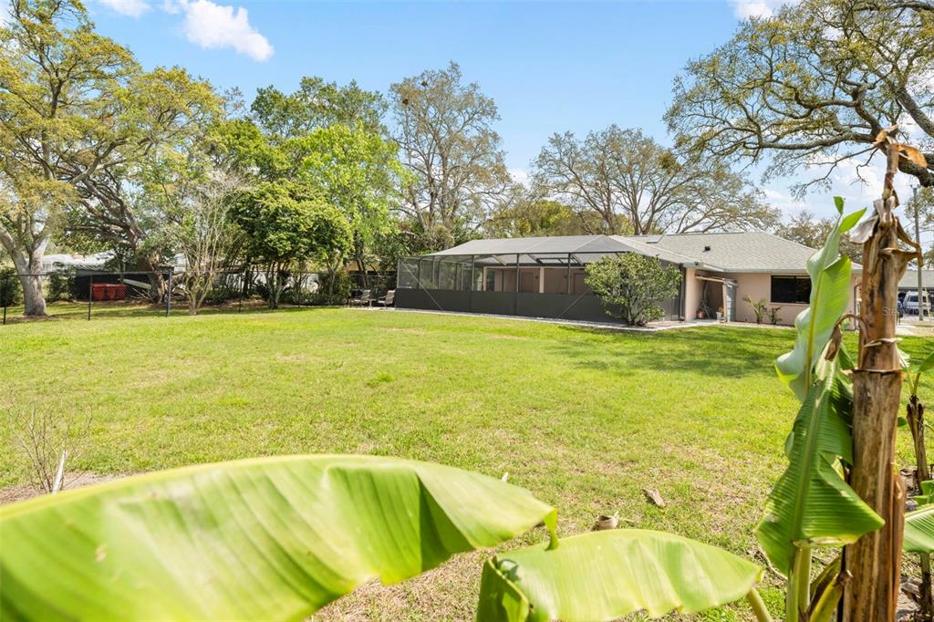 9111 Blaine Road Spring Hill, FL 34608 - Photo 54 of 56