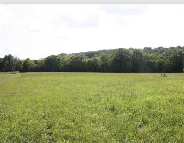 0 Shady Lane Road Pulaski, TN 38478 - Photo 1 of 5 Gallery Image 1