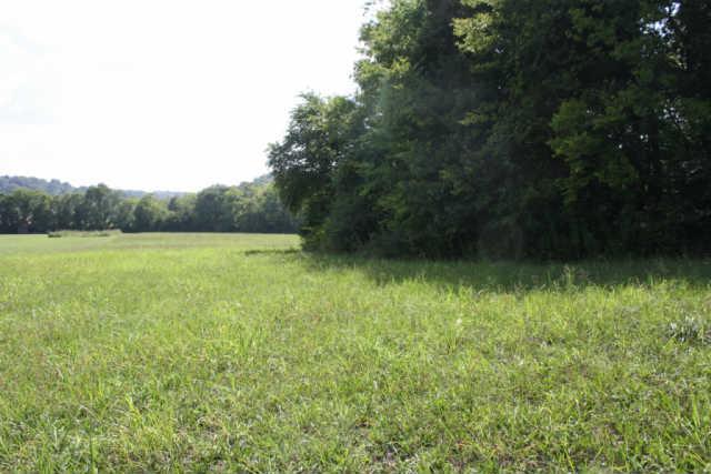 0 Shady Lane Road Pulaski, TN 38478 - Photo 2 of 5 Gallery Image 2
