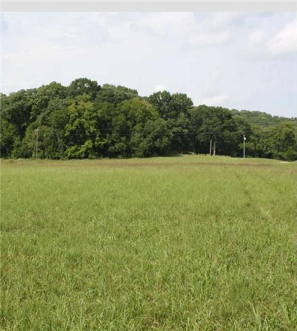 0 Shady Lane Road Pulaski, TN 38478 - Photo 3 of 5 Gallery Image 3