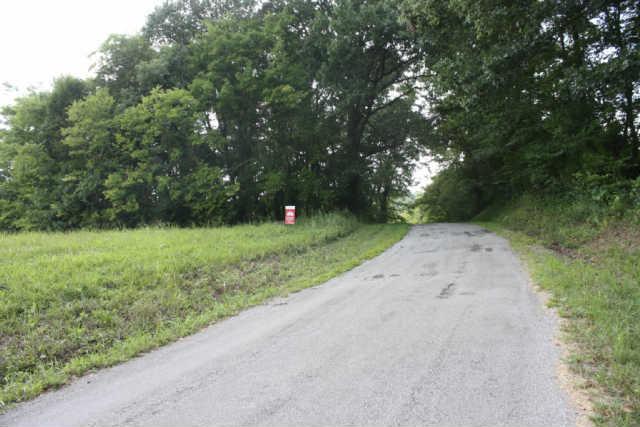 0 Shady Lane Road Pulaski, TN 38478 - Photo 4 of 5 Gallery Image 4