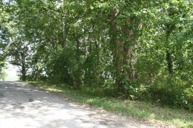 0 Shady Lane Road Pulaski, TN 38478 - Photo 5 of 5 Gallery Image 5