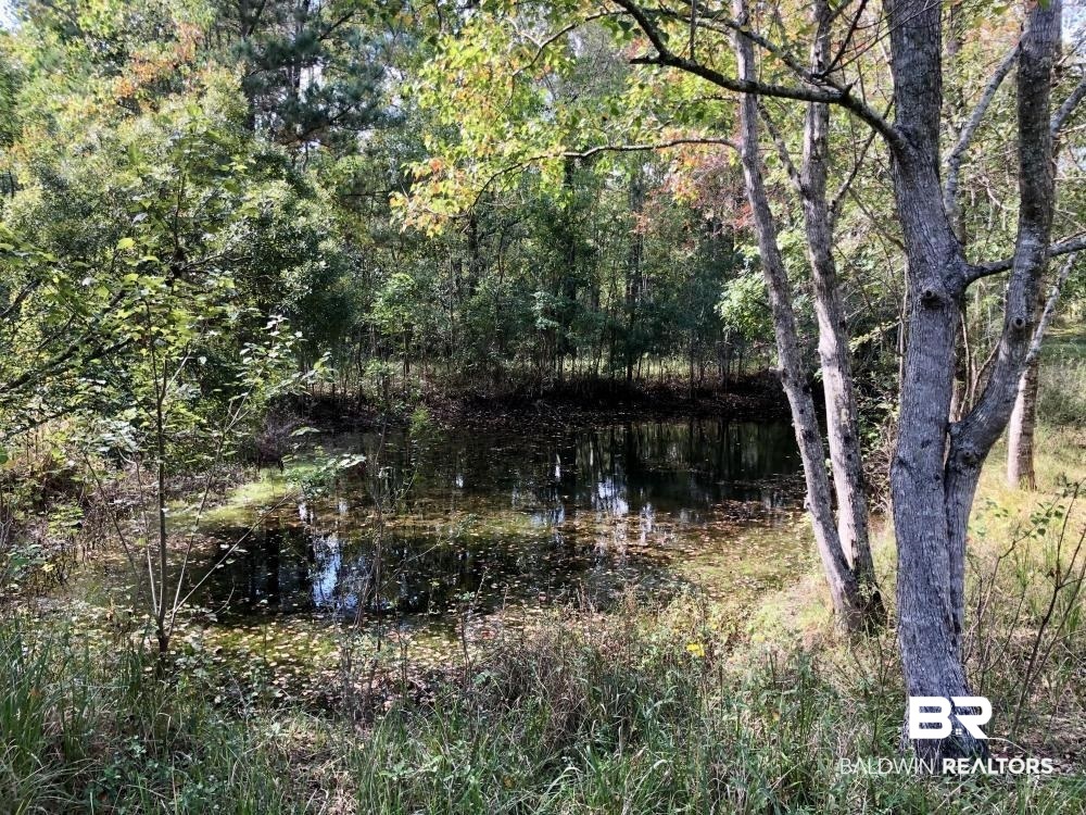 0 Country Road Axis, AL 36505 - Photo 23 of 42