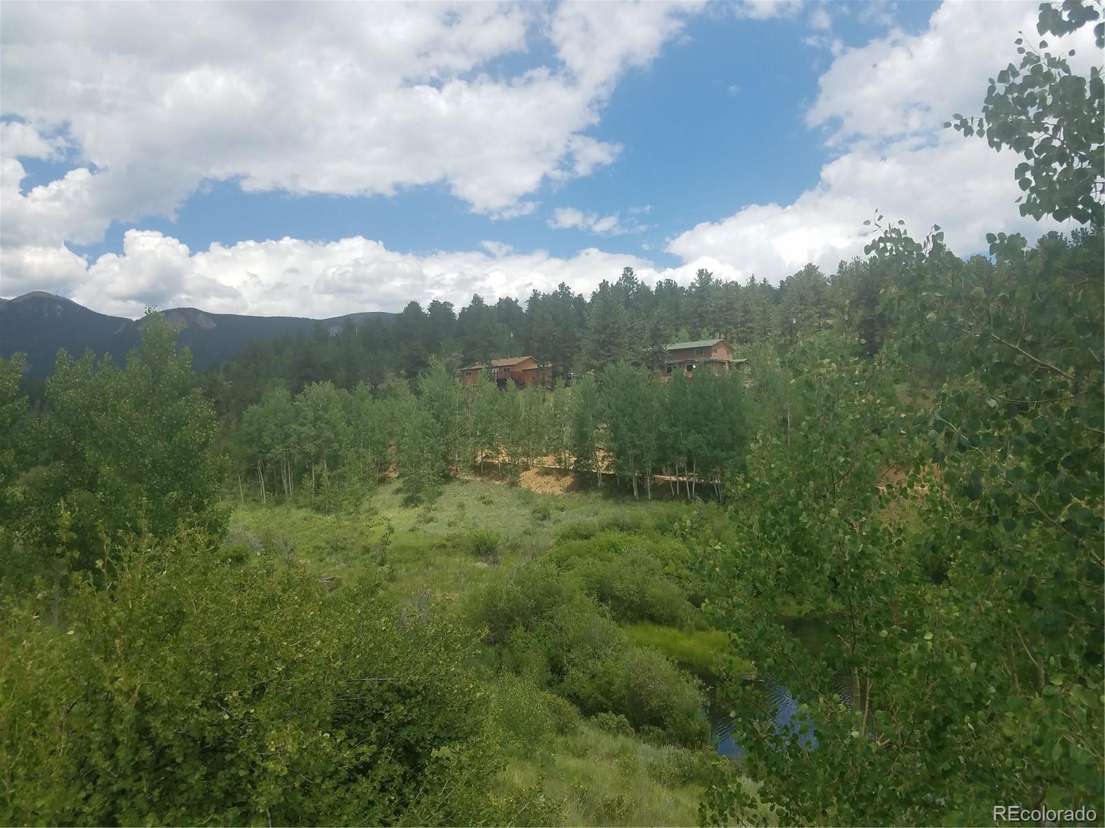 309 Neish Street Bailey, CO 80421 - Photo 1 of 18 Gallery Image 1
