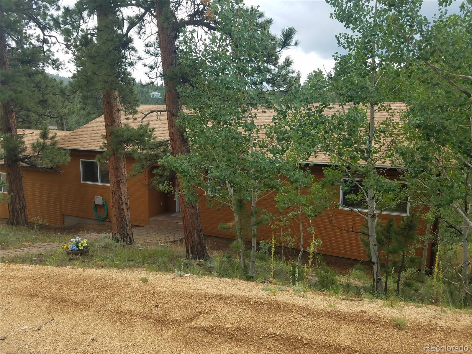 309 Neish Street Bailey, CO 80421 - Photo 3 of 18 Gallery Image 3