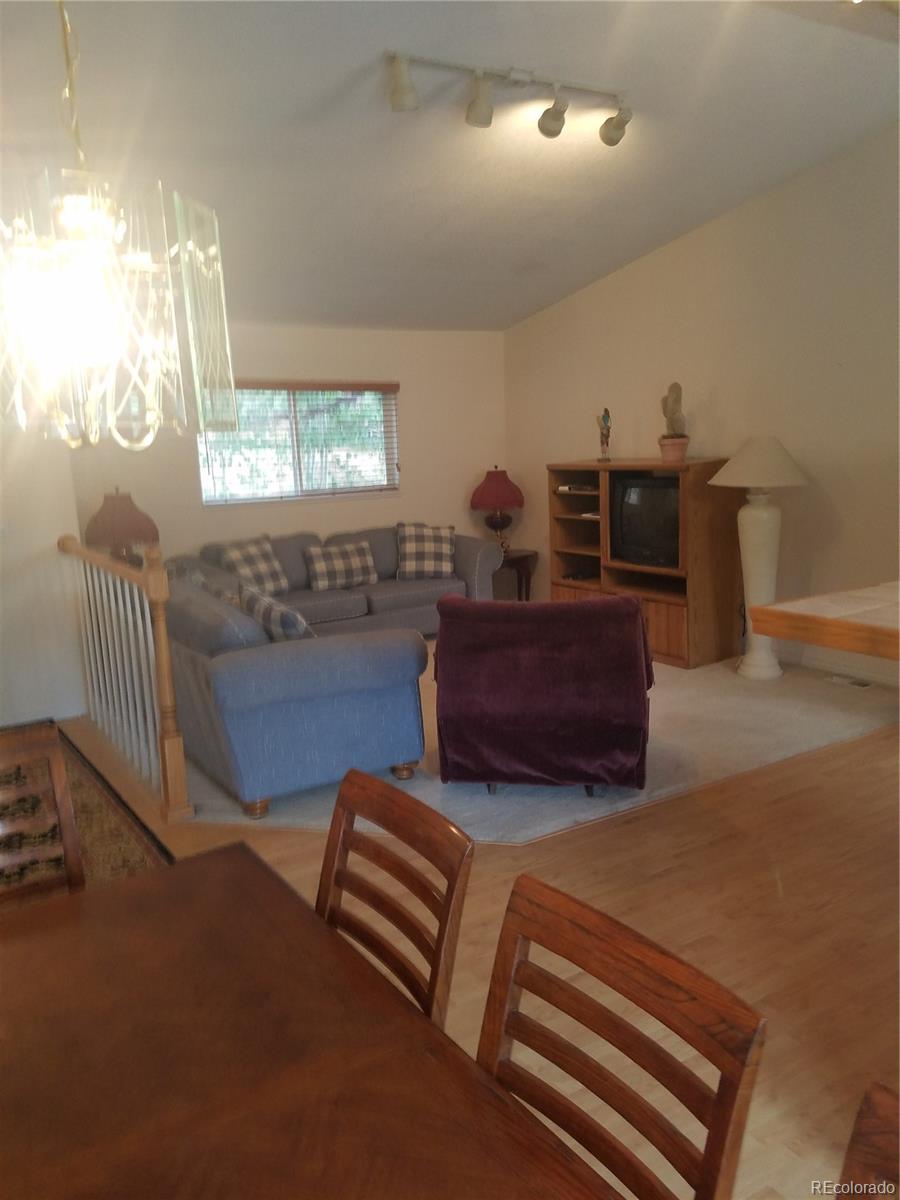 309 Neish Street Bailey, CO 80421 - Photo 4 of 18 Gallery Image 4