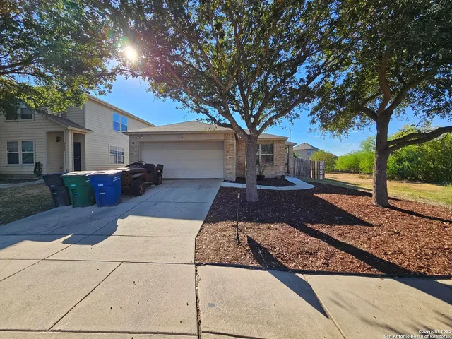 a view of a yard with plants and trees