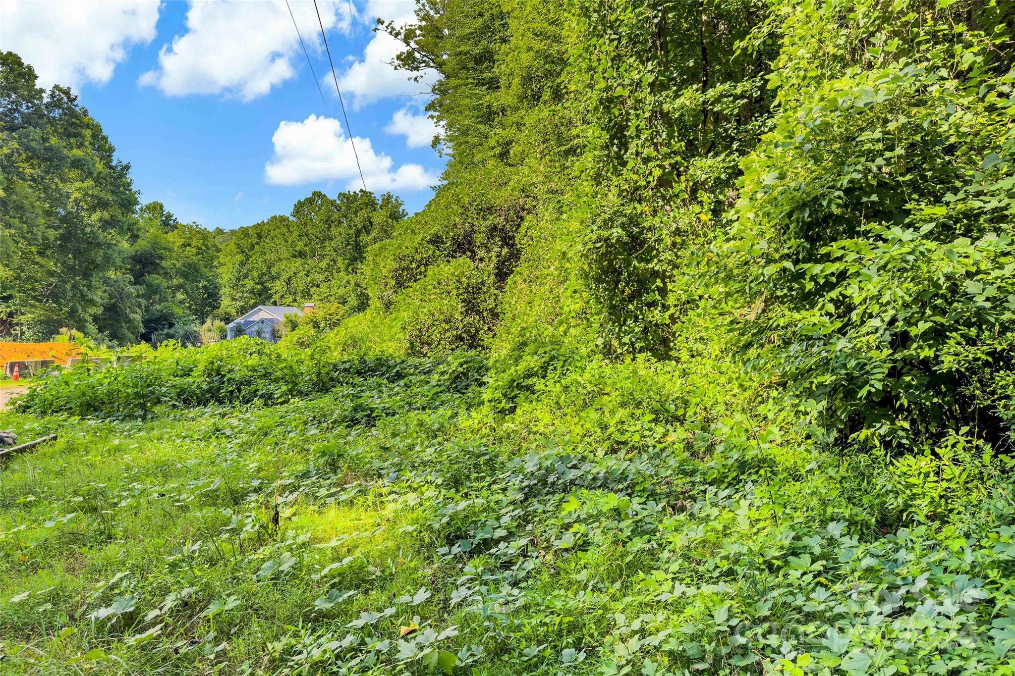 203 Moffitt Branch Road Old Fort, NC 28762 - Photo 12 of 38 Gallery Image 12