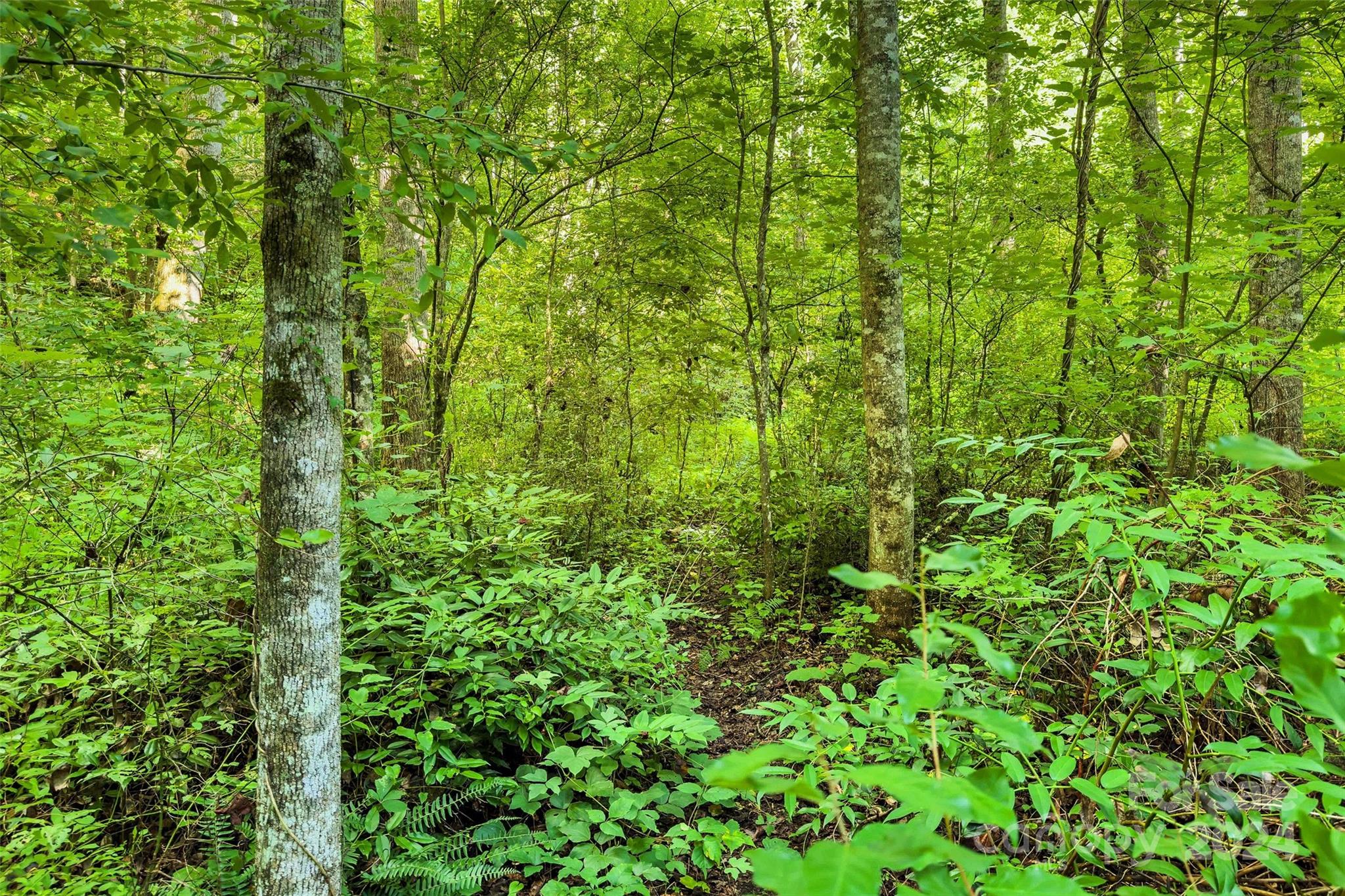 203 Moffitt Branch Road Old Fort, NC 28762 - Photo 13 of 38 Gallery Image 13