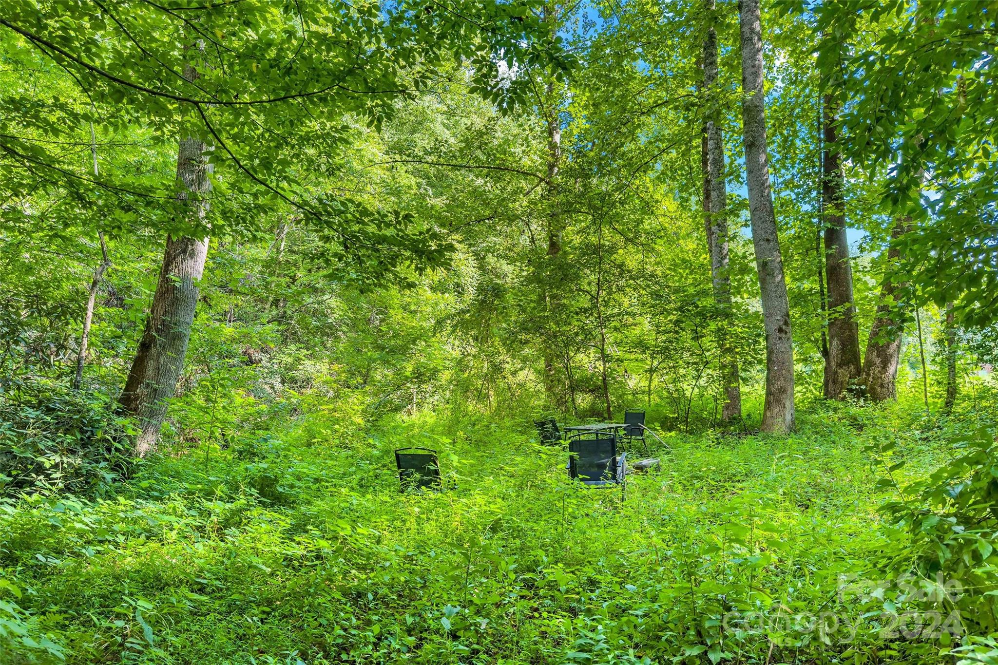 203 Moffitt Branch Road Old Fort, NC 28762 - Photo 15 of 38 Gallery Image 15