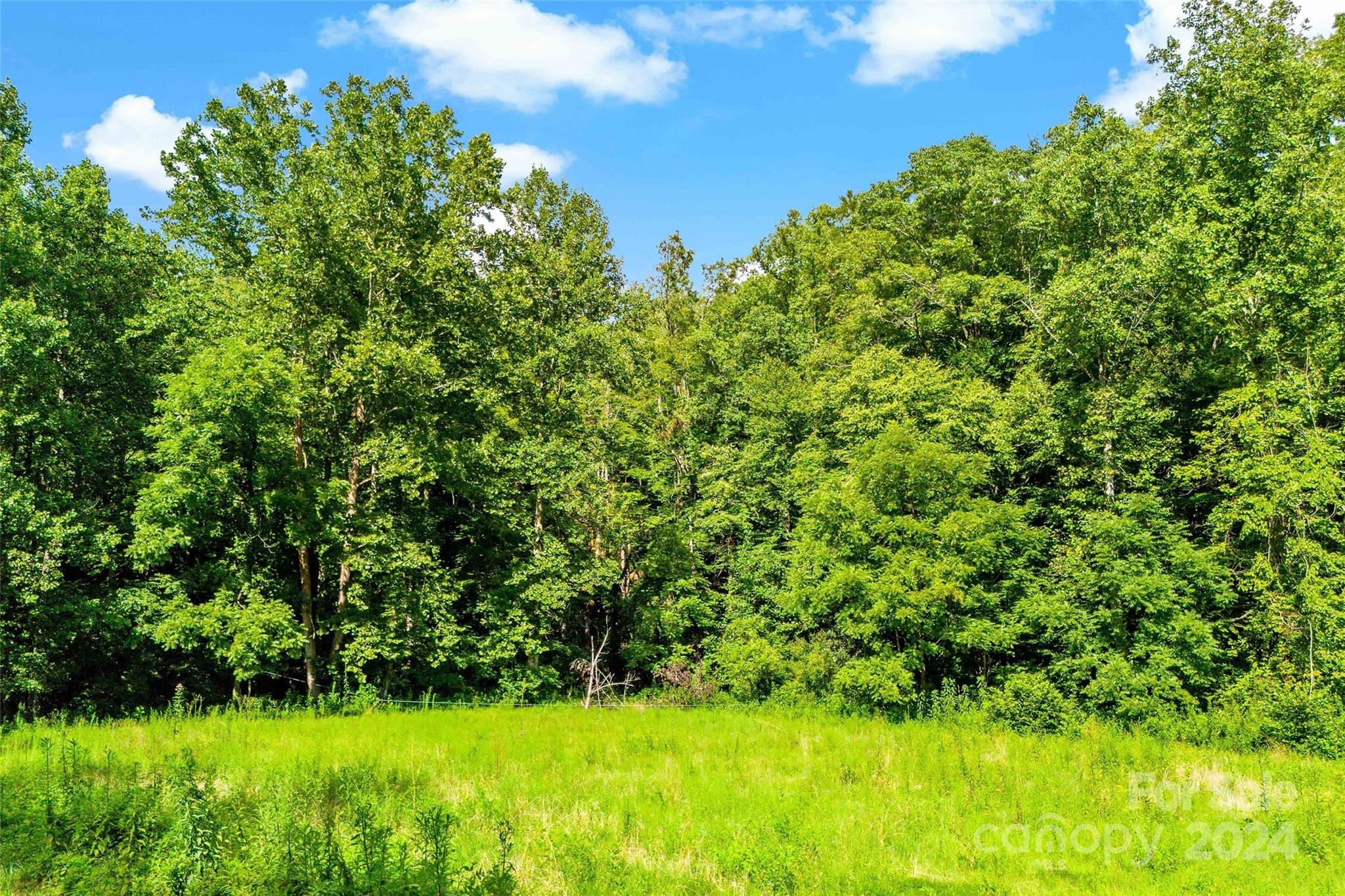 203 Moffitt Branch Road Old Fort, NC 28762 - Photo 21 of 38 Gallery Image 21