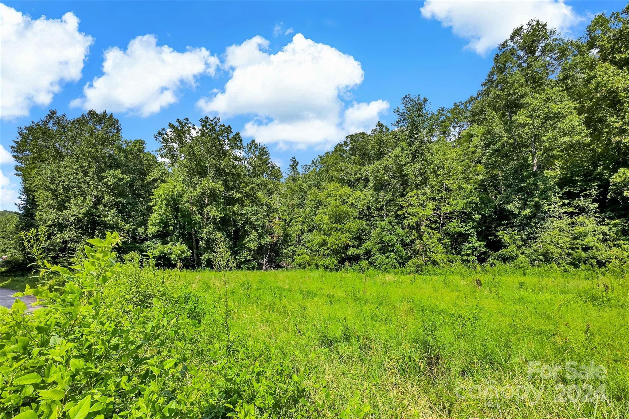 203 Moffitt Branch Road Old Fort, NC 28762 - Photo 9 of 38 Gallery Image 9