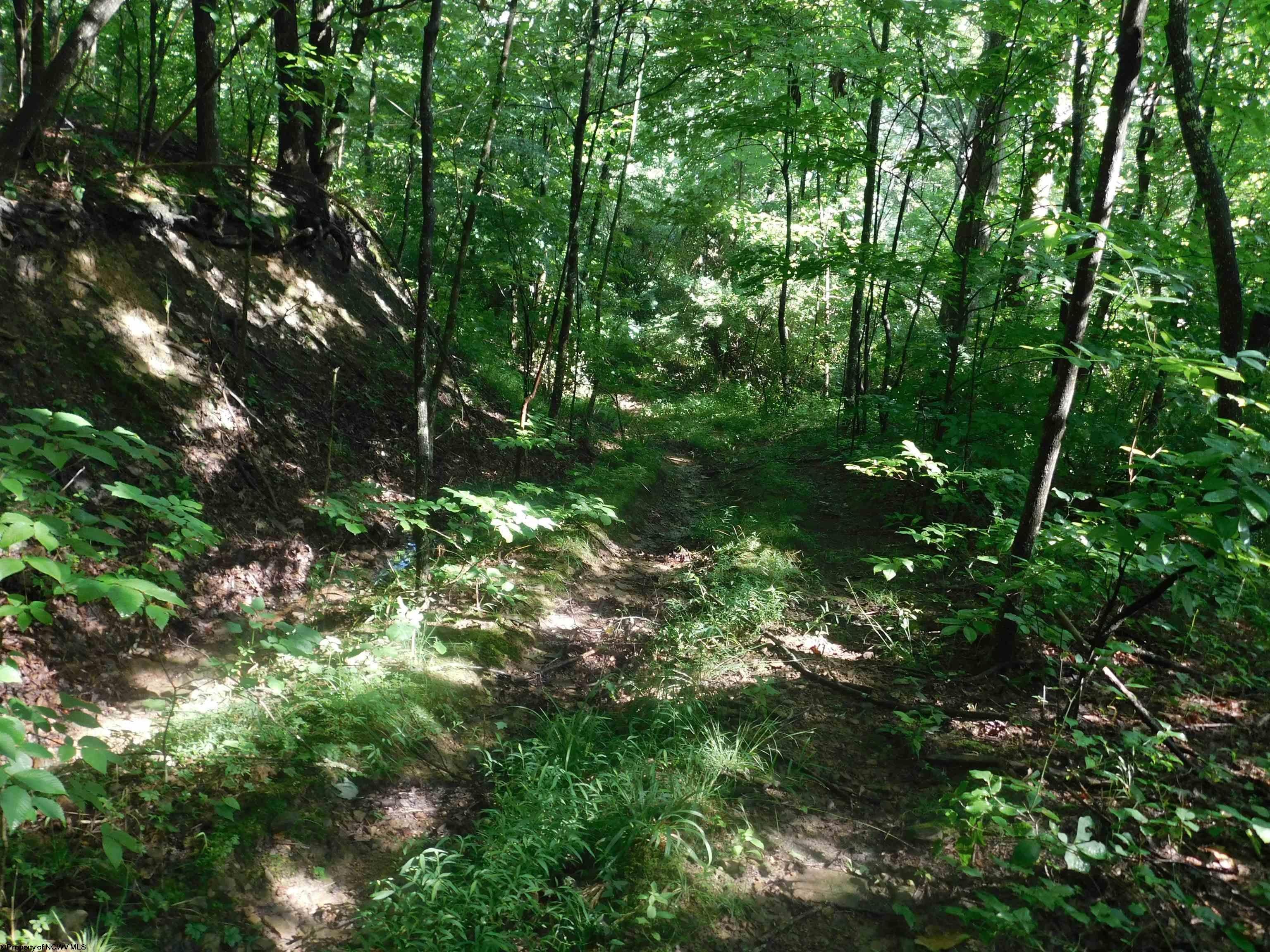 Tbd Independence Road Newburg, WV 26410 - Photo 7 of 16 Gallery Image 7