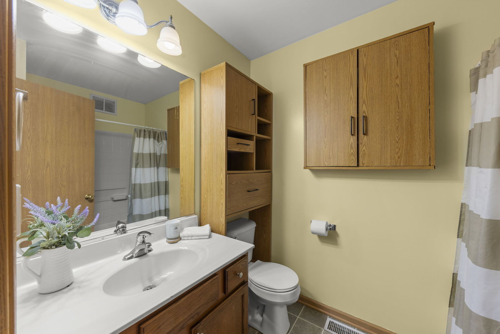 1719 Ravine Park Lane Aurora, IL 60504 - Photo 13 of 23 a bathroom with a sink toilet and shower