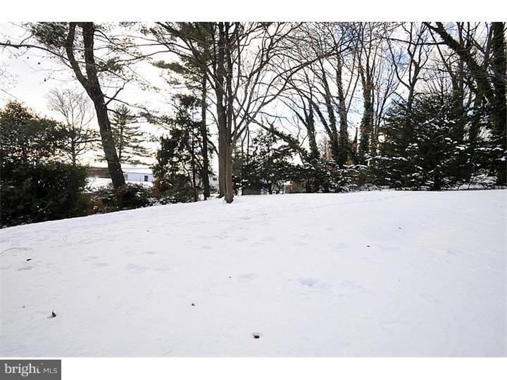 518 Pinetree Road Jenkintown, PA 19046 - Photo 18 of 19 View in Back