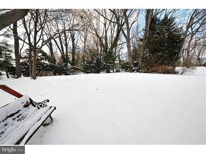 518 Pinetree Road Jenkintown, PA 19046 - Photo 19 of 19 View in Back
