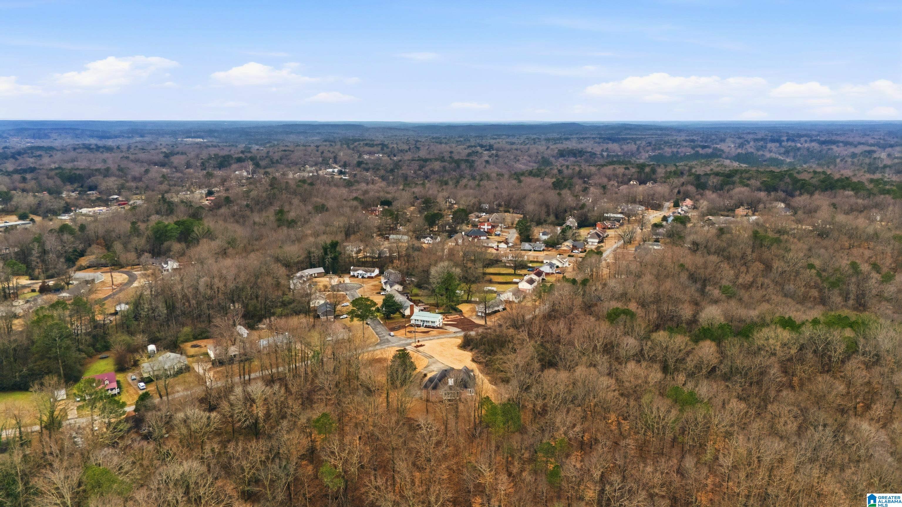546 Kennedy Road Gardendale, AL 35071 - Photo 58 of 59
