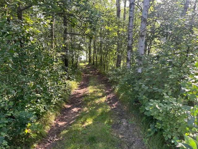 $204,900 | 25266 Oak Knoll Trail, Osage, MN 56570