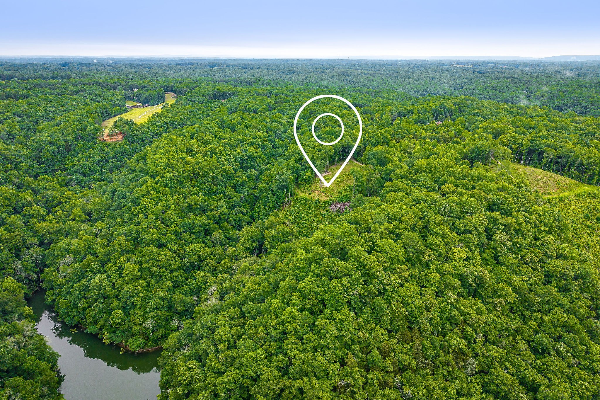 0 Knowles Street Sparta, TN 38583 - Photo 13 of 24 a close up of a plant in a garden