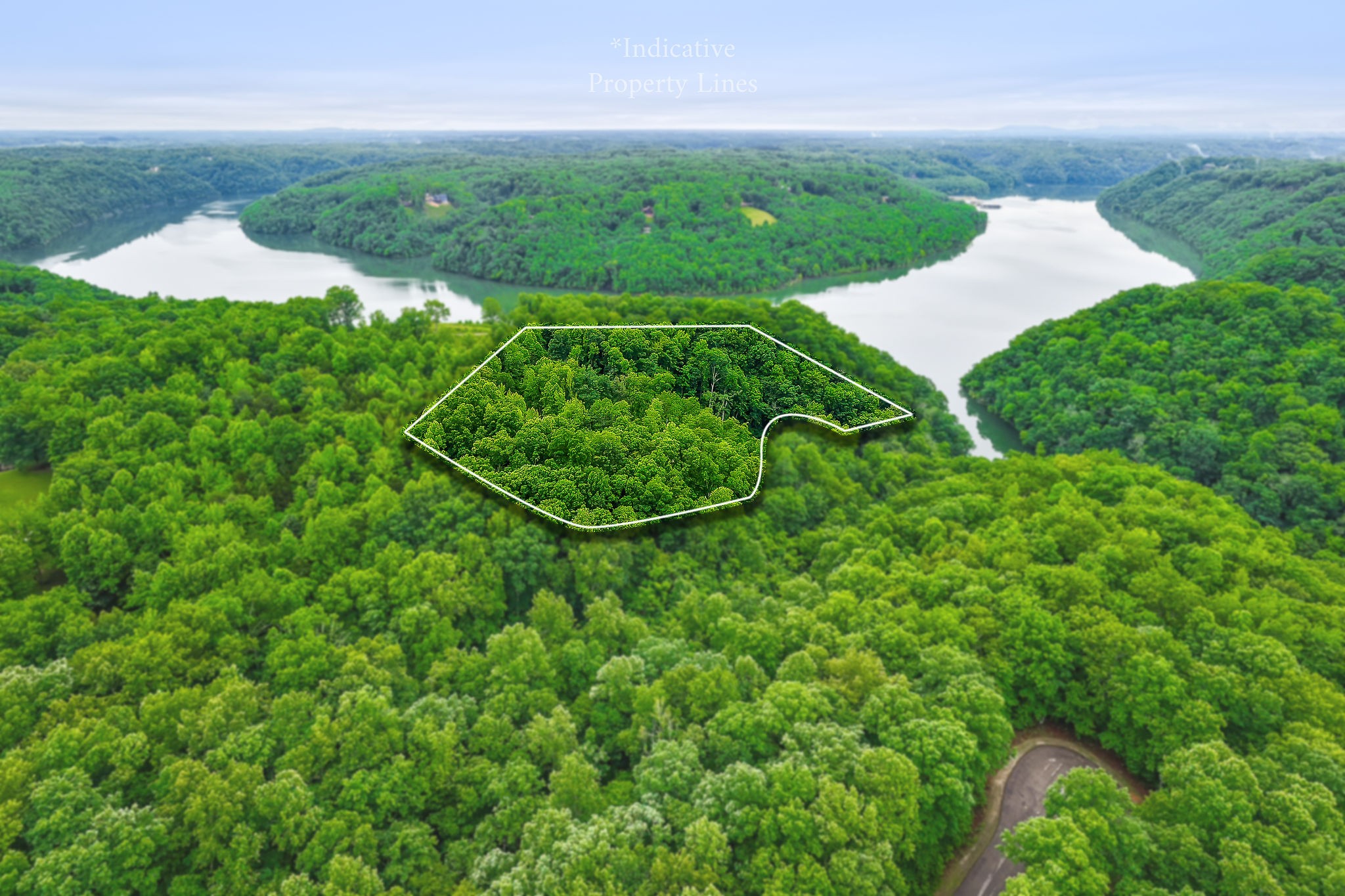 0 Knowles Street Sparta, TN 38583 - Photo 17 of 24 a view of a green yard with large trees