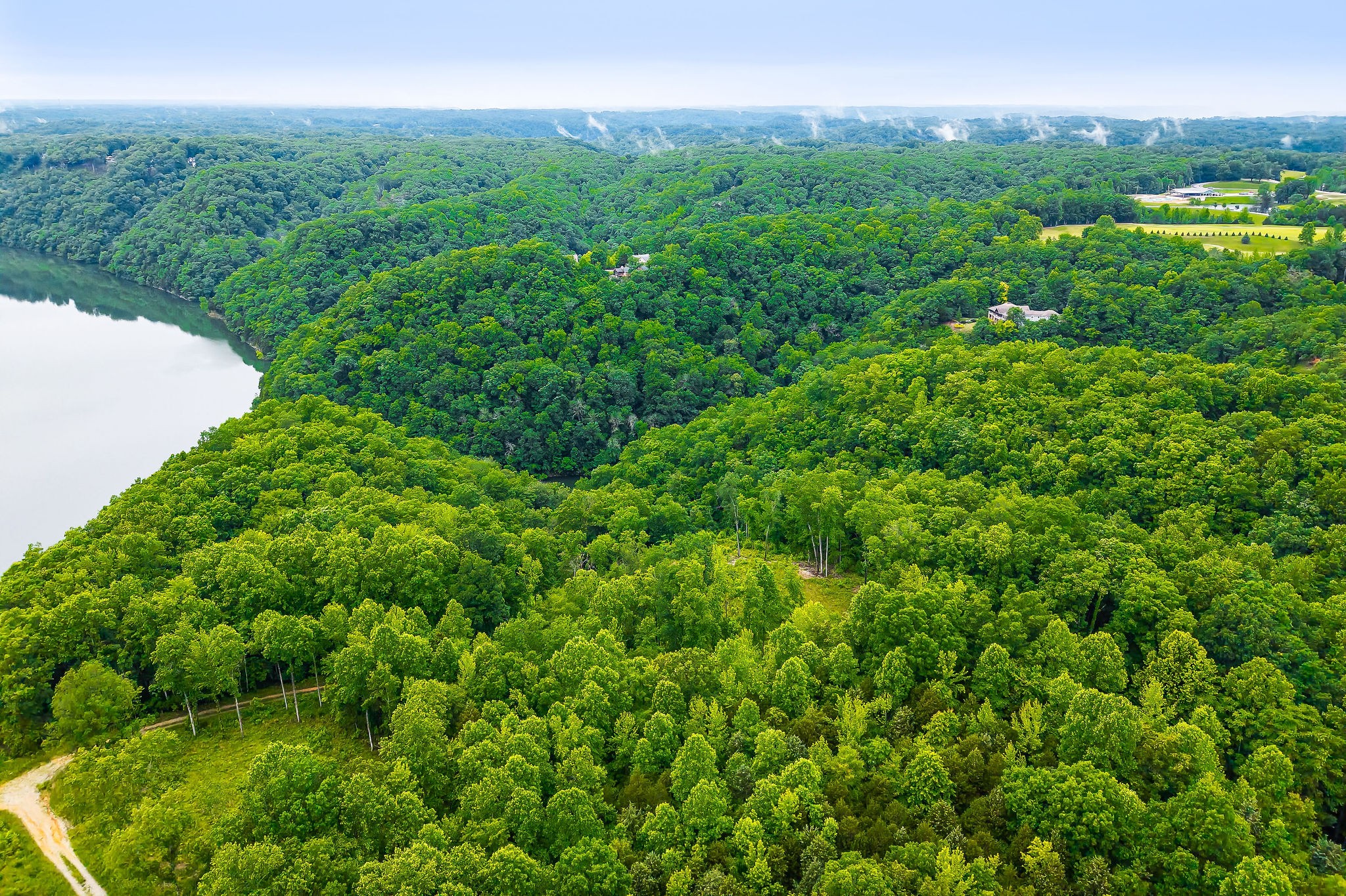 0 Knowles Street Sparta, TN 38583 - Photo 19 of 24 a view of a lush green outdoor space