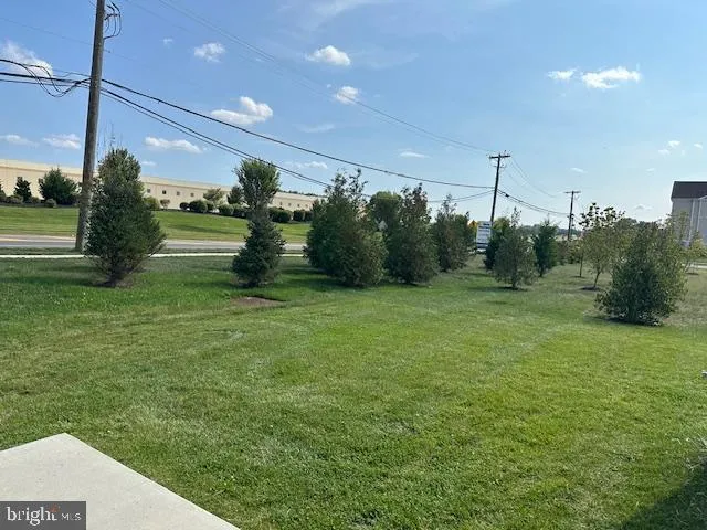 a view of a white house with a big yard and a large tree