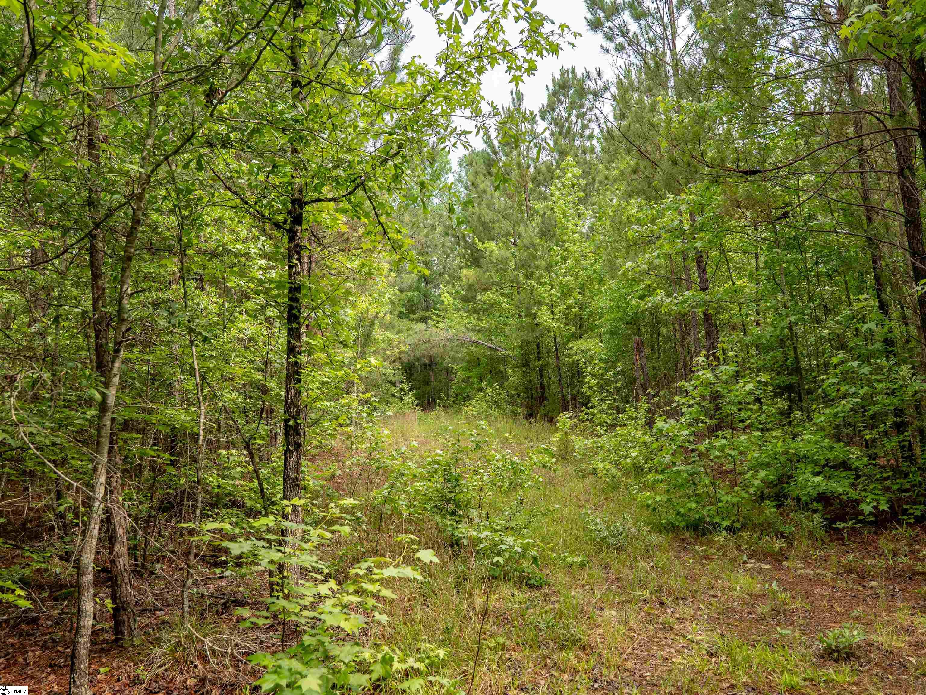 0 Terry Road, Unit LOT 2 Fountain Inn, SC 29644 - Photo 23 of 27 Gallery Image 23