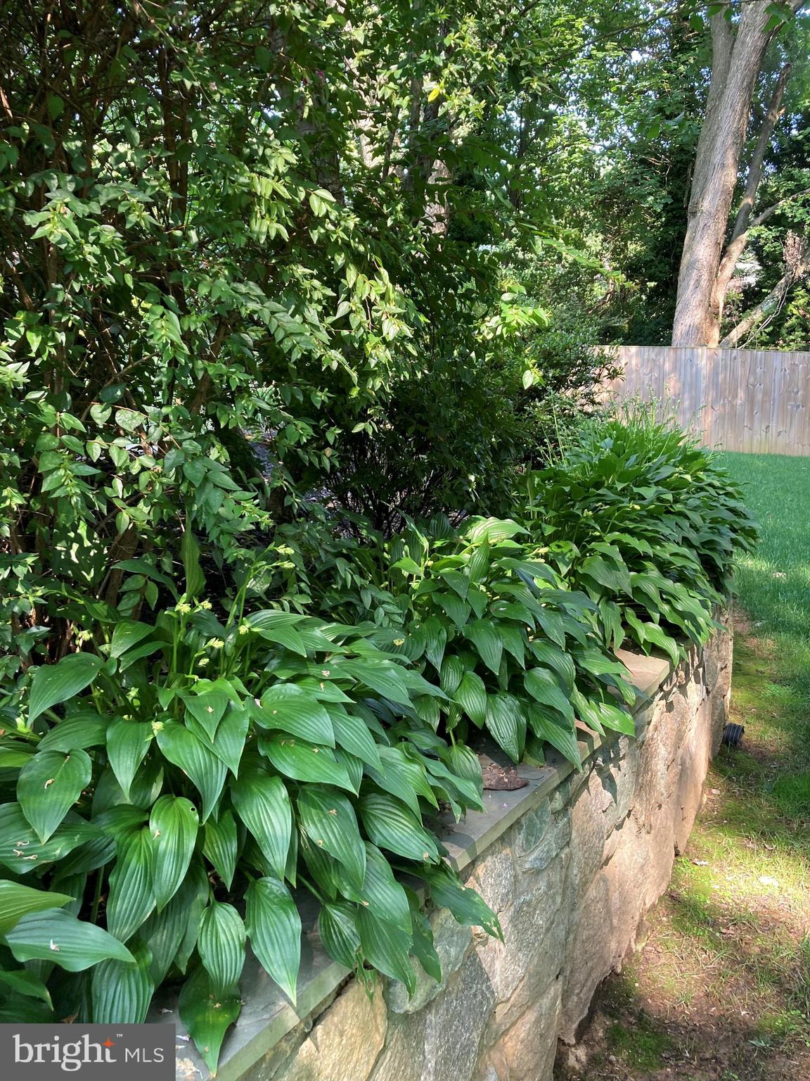 2871 Hideaway Road Fairfax, VA 22031 - Photo 9 of 75 Lush back yard