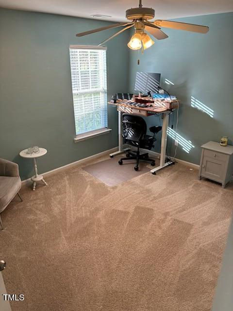 3318 Colorcott Street Raleigh, NC 27614 - Photo 28 of 28