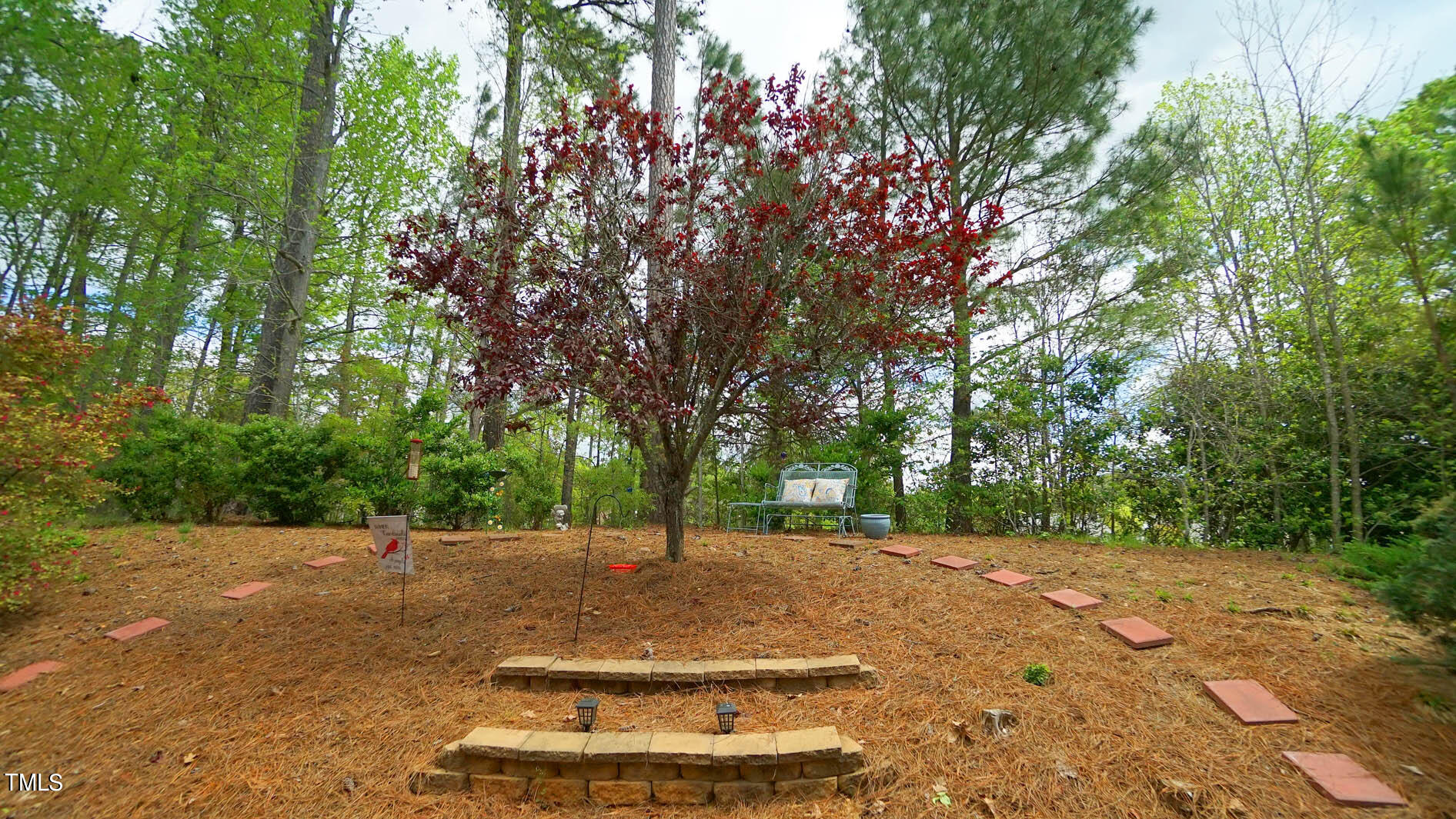 3318 Colorcott Street Raleigh, NC 27614 - Photo 4 of 28 a view of a tree with a yard