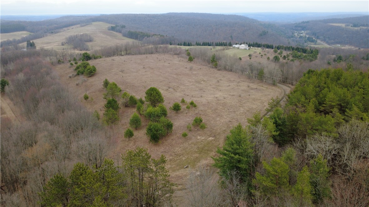 0 Moulton Road Cuba, NY 14727 - Photo 3 of 8