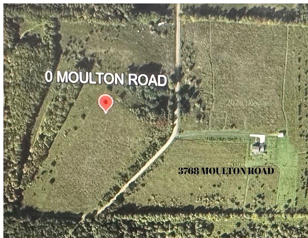 0 Moulton Road Cuba, NY 14727 - Photo 6 of 8