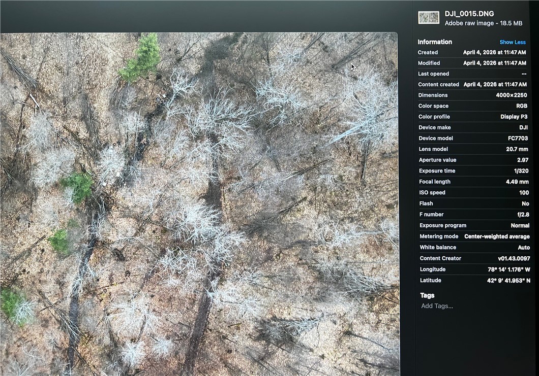 0 Moulton Road Cuba, NY 14727 - Photo 7 of 8