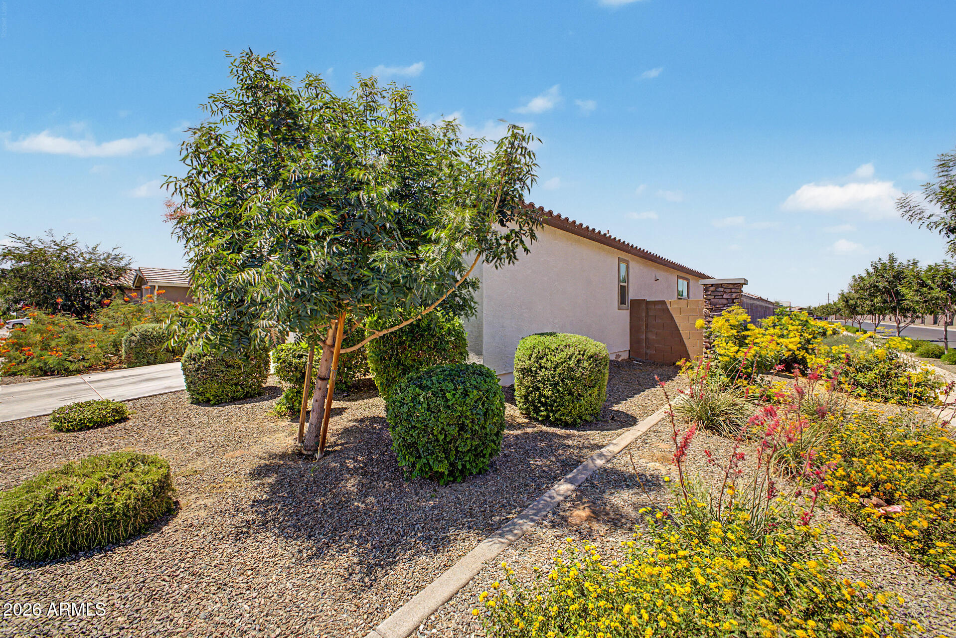 23080 East Stacey Road Queen Creek, AZ 85142 - Photo 3 of 42 a backyard of a house with lots of green space