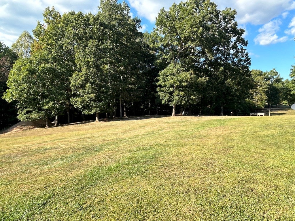 839 Grouse Ridge Road Max Meadows, VA 24360 - Photo 17 of 45 Gallery Image 17