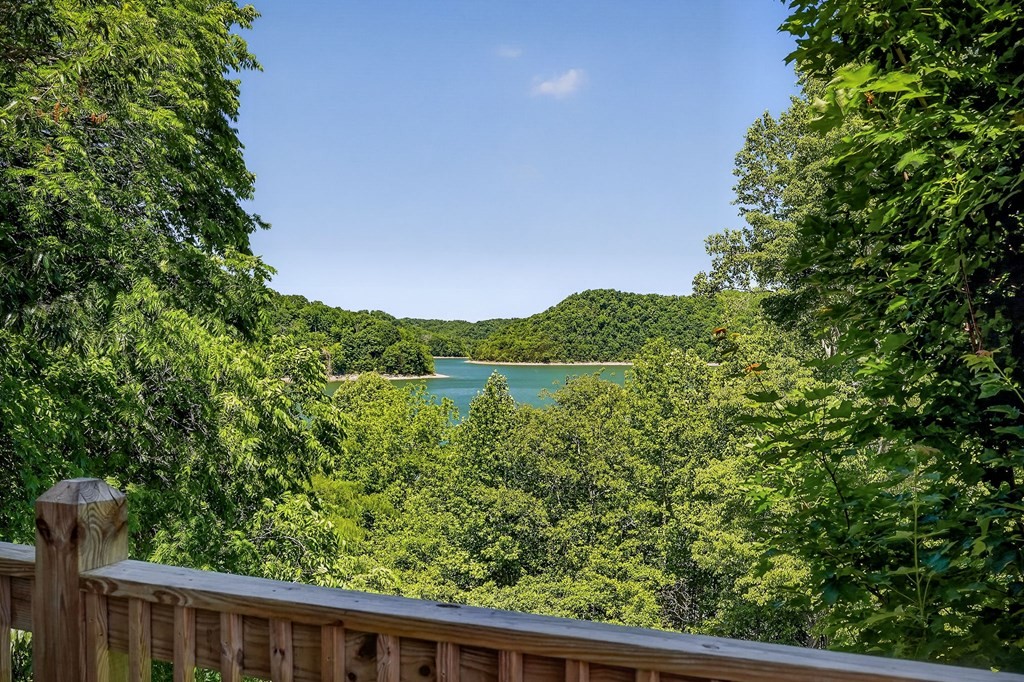 2975 Johnson Chapel Road Sparta, TN 38583 - Photo 41 of 64