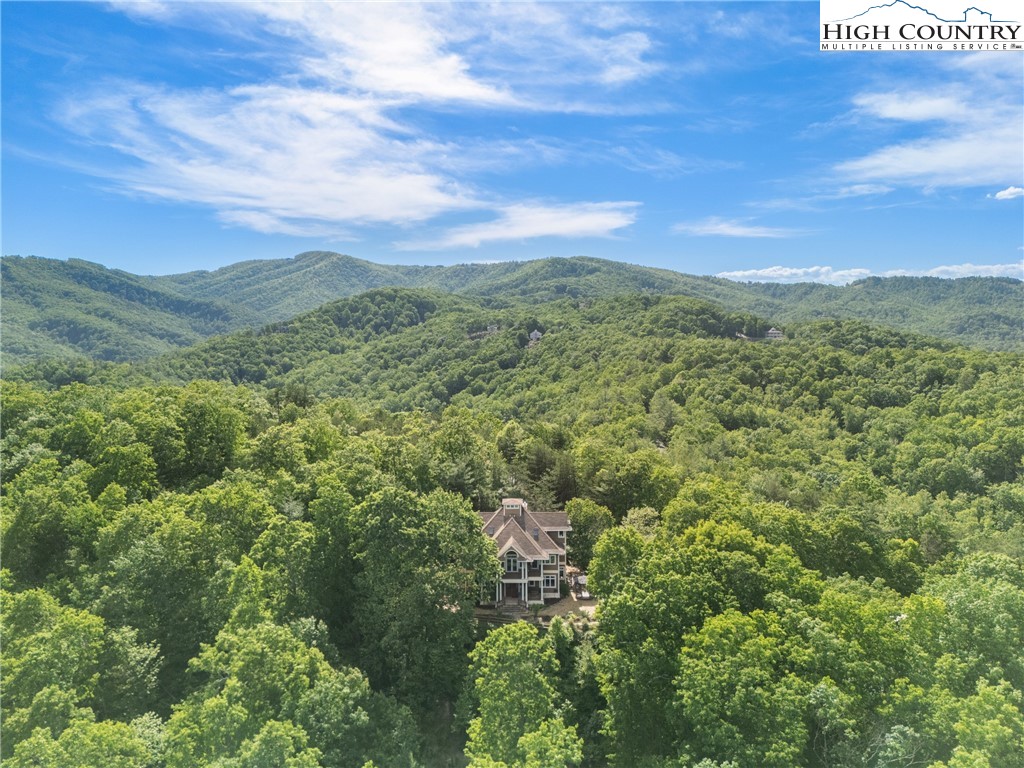 461 Summit Rise Drive Boone, NC 28607 - Photo 3 of 50 a view of a lush green forest with trees in the background
