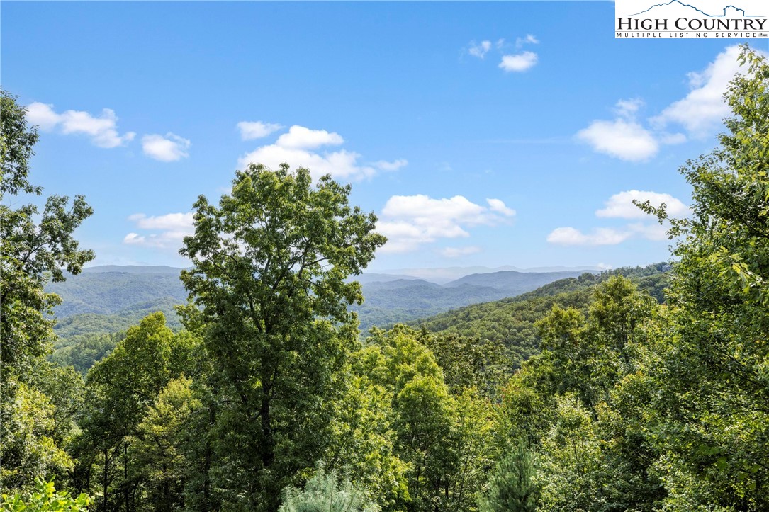 461 Summit Rise Drive Boone, NC 28607 - Photo 4 of 50