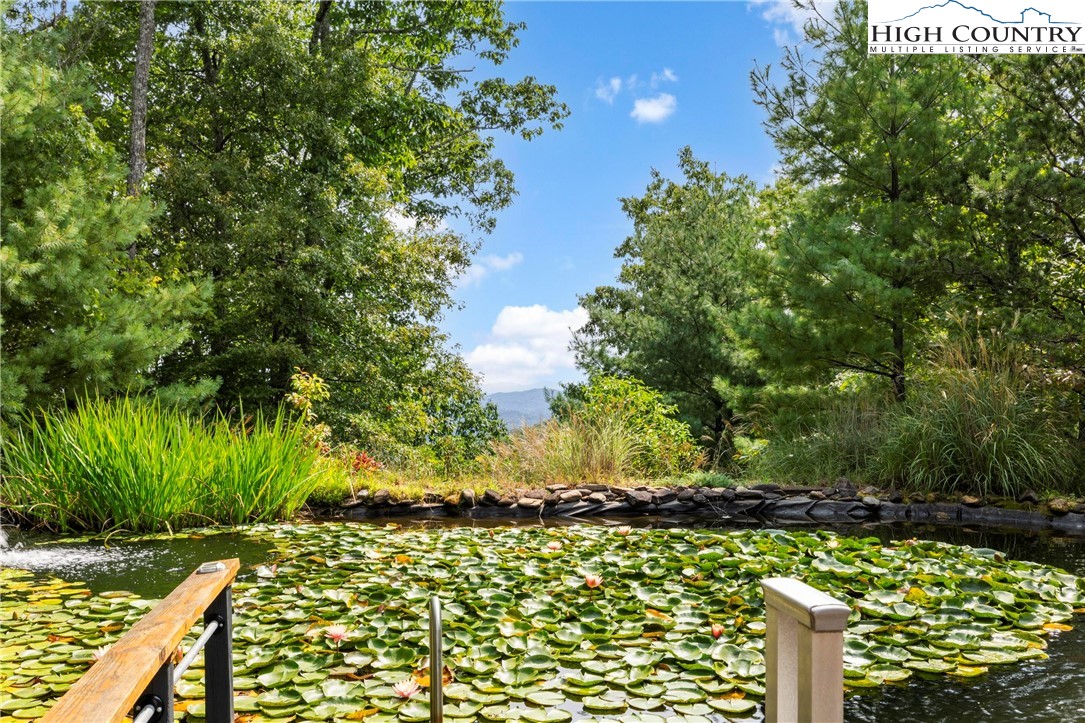 461 Summit Rise Drive Boone, NC 28607 - Photo 42 of 50 a yard with a tree