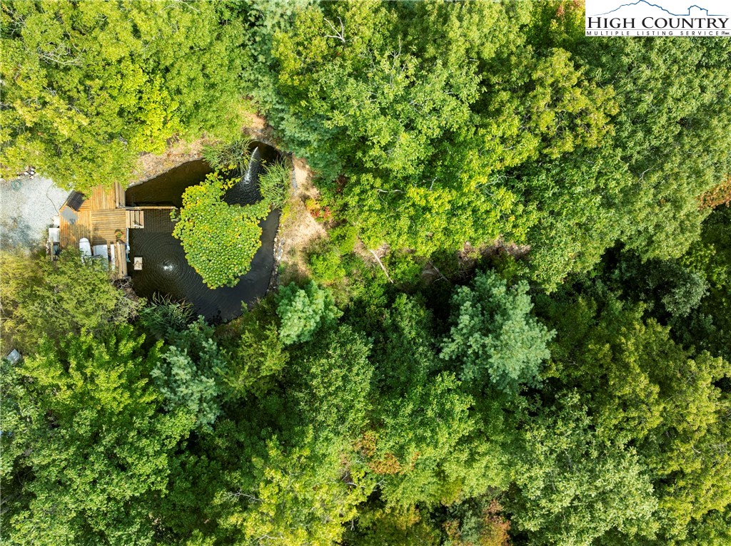 461 Summit Rise Drive Boone, NC 28607 - Photo 47 of 50 a swing of a tree