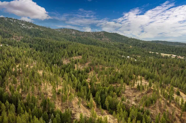 $380,000 | 179-xx East Belmont Road, Unit LOT #3, Mica, WA 99023