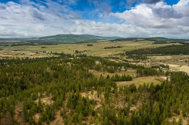 $380,000 | 179-xx East Belmont Road, Unit LOT #3, Mica, WA 99023