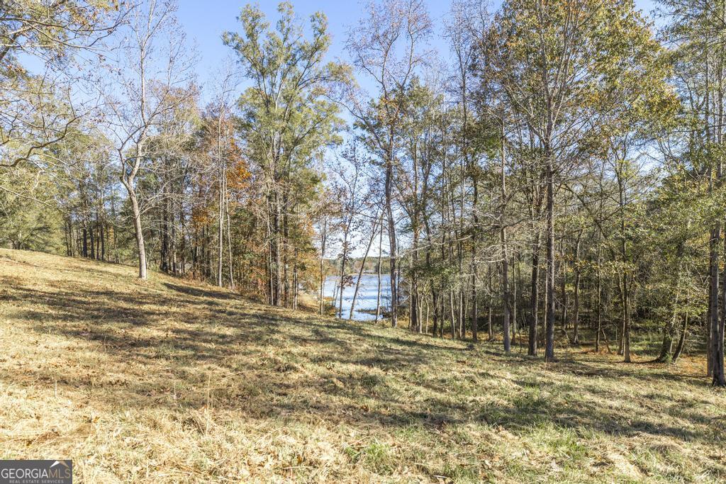 1701 Blue Springs Road Buckhead, GA 30625 - Photo 13 of 24 a view of a yard with a tree